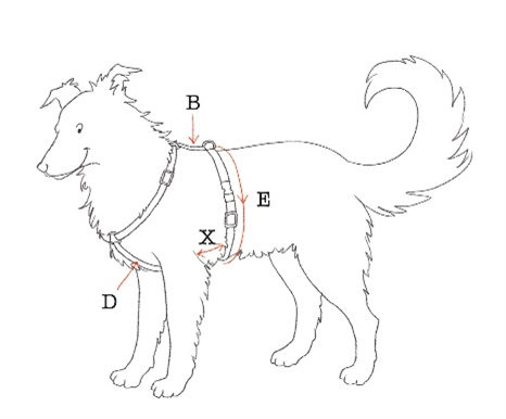 Harness positioning