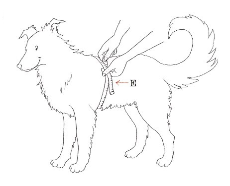 Measurement guide