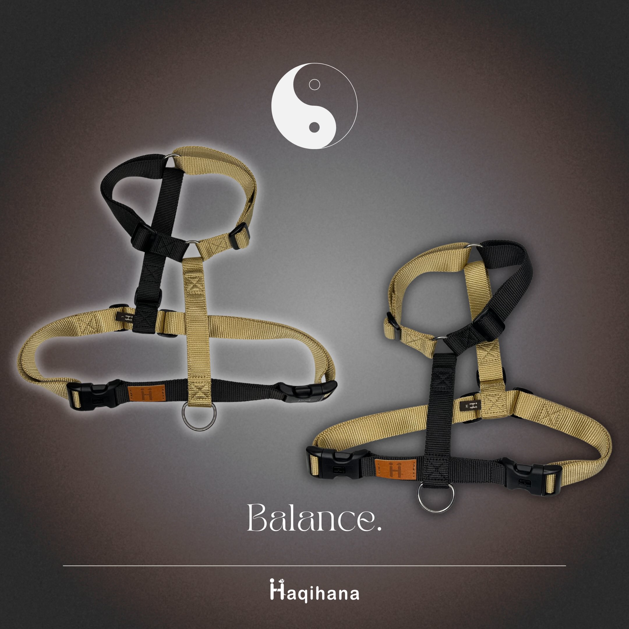 Balance Dark Haqihana
