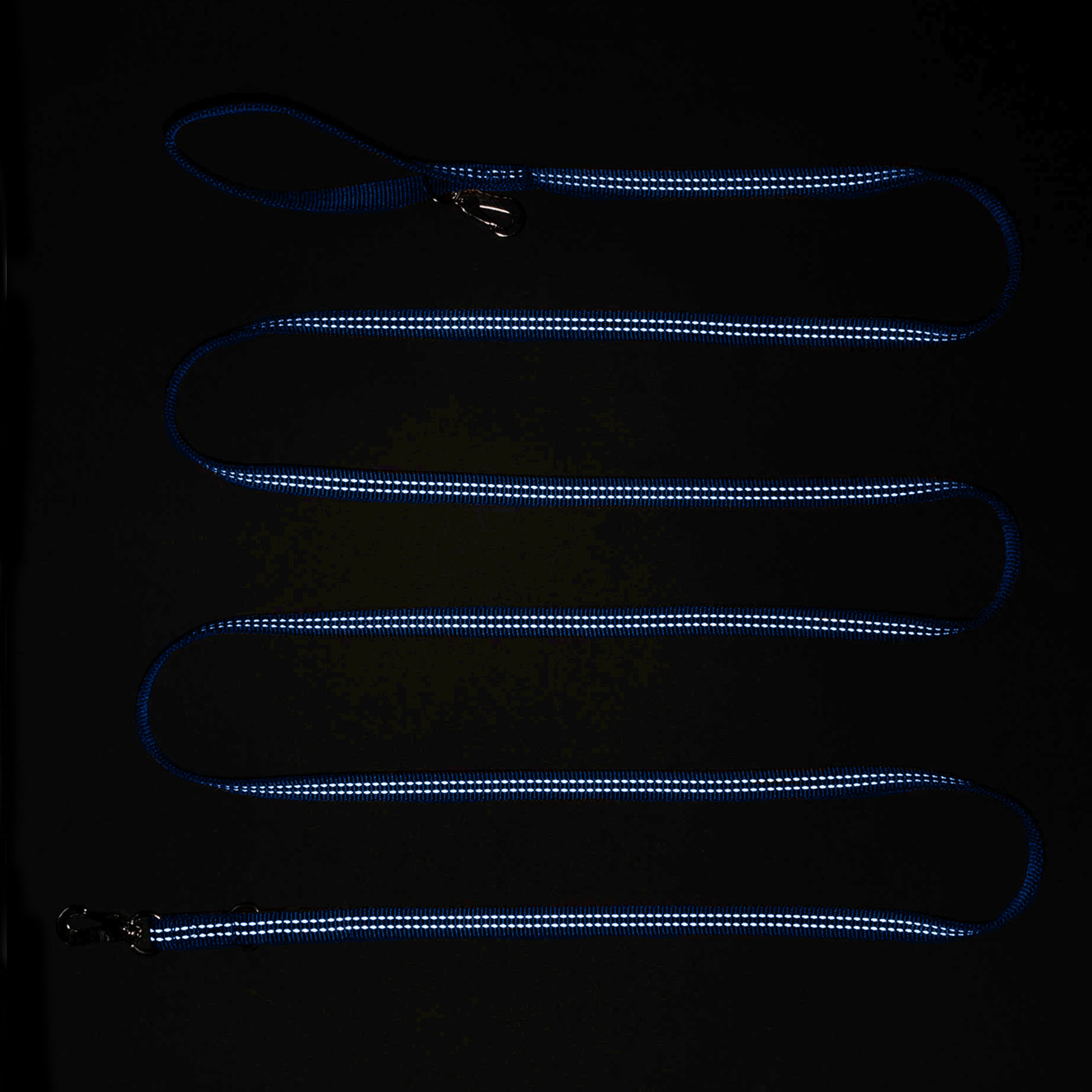 Haqihana Leash High Visibility