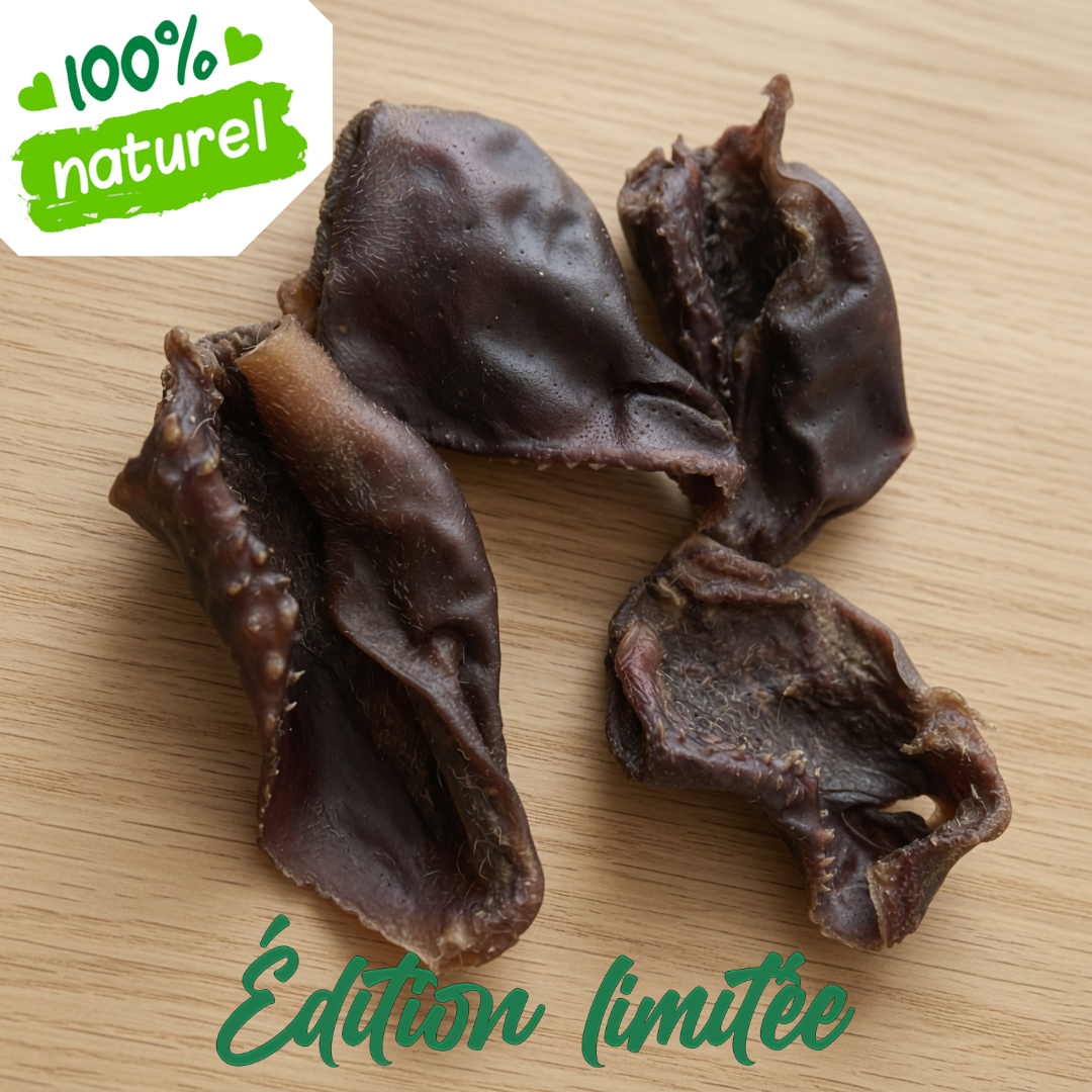 Lèvres de boeuf friandises DolceVitaDog