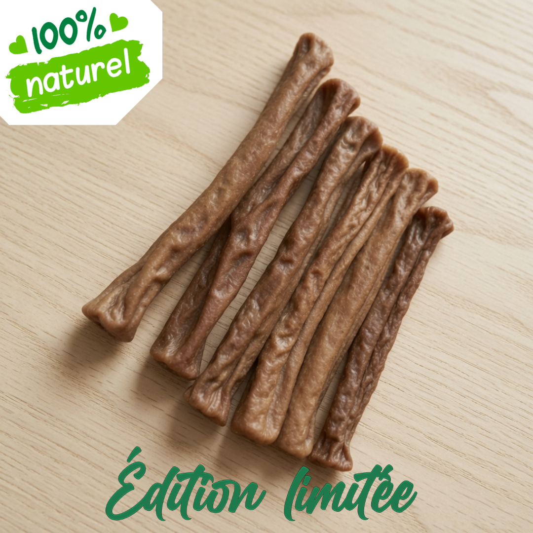 Roulé de cuir DolceVitaDog