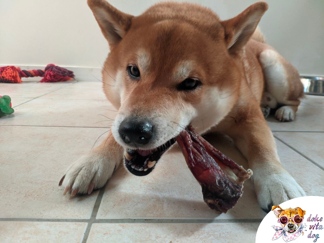 Joues entières Miam
