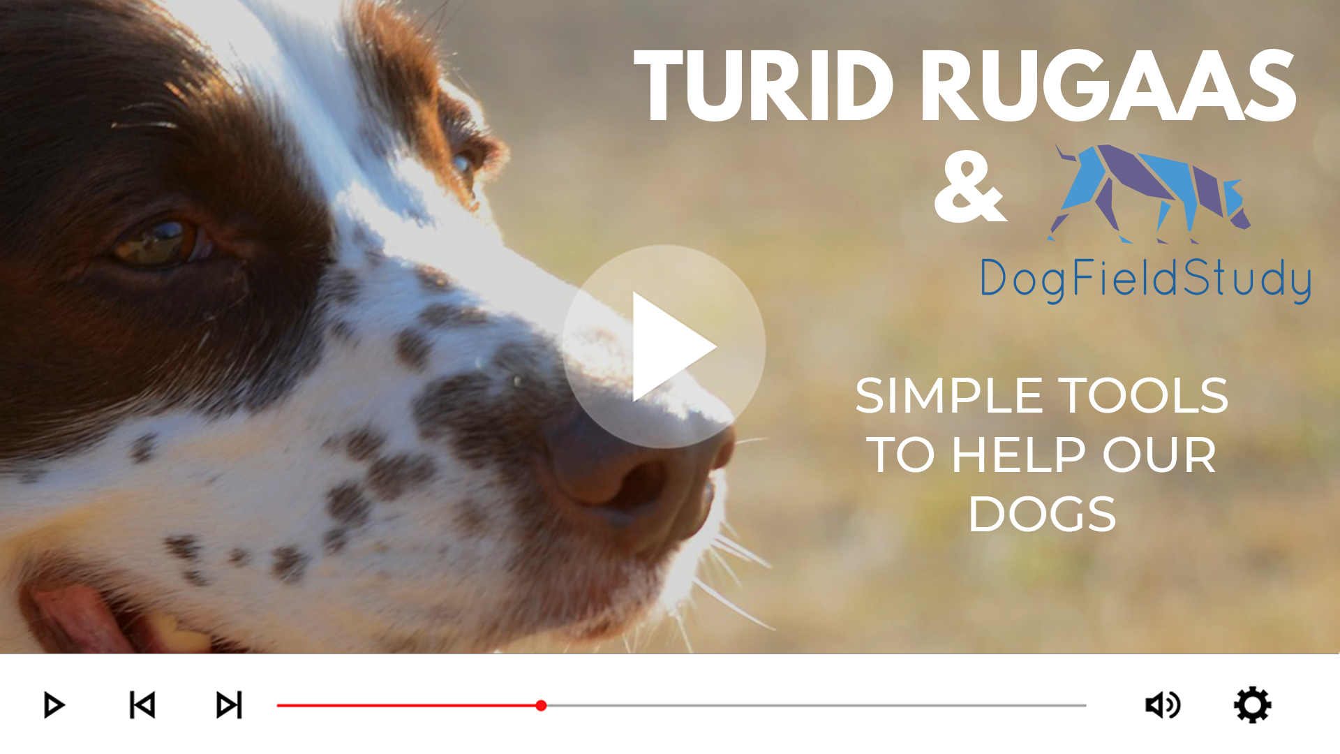 Simple Tools to help our dogs - Turid Rugaas and DogFieldStudy