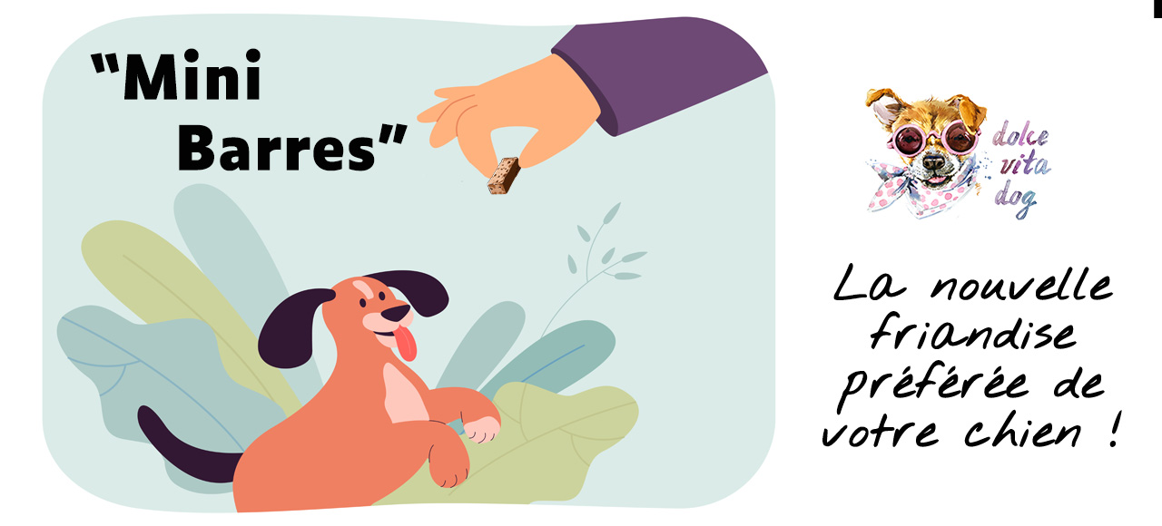 Mini barres, friandises préfée de votre chien