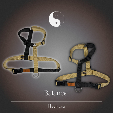 Balance Dark Haqihana