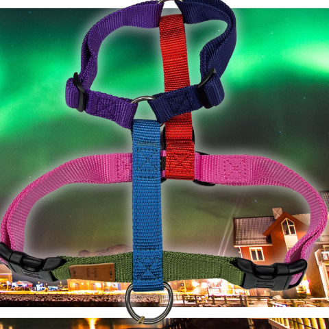 Nothern lights