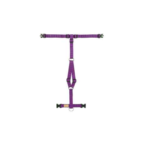 SL Violet Haqihana