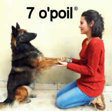 7 O Poil