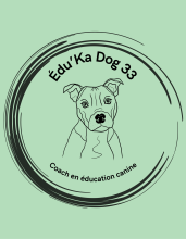 Coach en éducation et rééducation canine