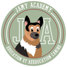 Logo de la Jamy Academy