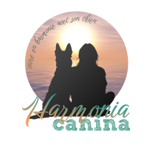 Harmonia Canina